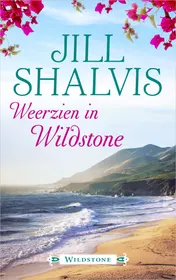 Omslag van Weerzien in Wildstone