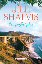 Omslag van Een perfect plan