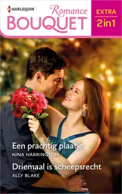 Omslag van Een prachtig plaatje / Driemaal is scheepsrecht