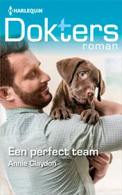Omslag van Een perfect team
