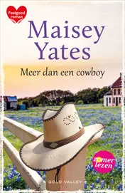 Omslag van Meer dan een cowboy