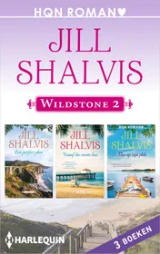 Omslag van Wildstone 2