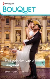 Omslag van Het geheim van de magnaat