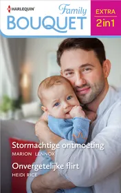 Omslag van Stormachtige ontmoeting / Onvergetelijke flirt