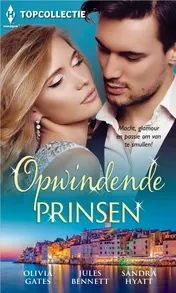 Omslag van Opwindende prinsen