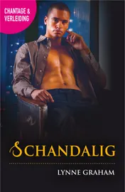 Omslag van Schandalig