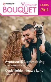 Omslag van Avontuurlijke ontmoeting / Oude liefde, nieuwe kans