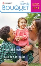 Omslag van Vorstelijk geheim / Net een sprookje
