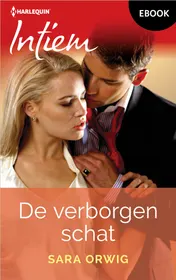 Omslag van De verborgen schat