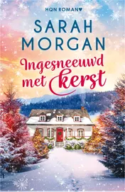 Omslag van Ingesneeuwd met kerst