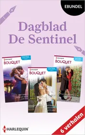 Omslag van Dagblad De Sentinel