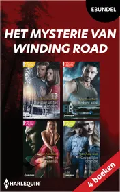 Omslag van Het mysterie van Winding Road