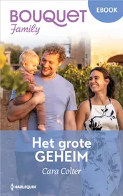 Omslag van Het grote geheim