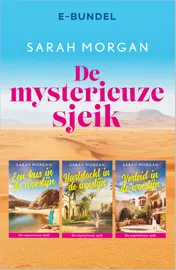 Omslag van De mysterieuze sjeik