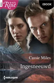 Omslag van Ingesneeuwd