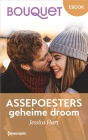 Omslag van Assepoesters geheime droom