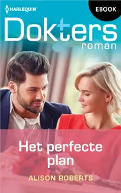 Omslag van Het perfecte plan