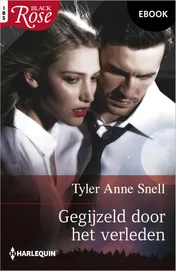 Omslag van Gegijzeld door het verleden