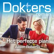 Omslag van Het perfecte plan