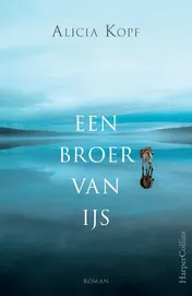 Omslag van Een broer van ijs