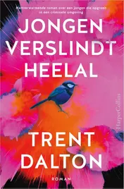Omslag van Jongen verslindt heelal