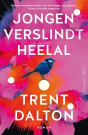 Omslag van Jongen verslindt heelal - backcard à 6 ex.