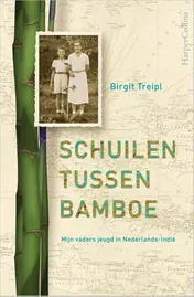 Omslag van Schuilen tussen bamboe