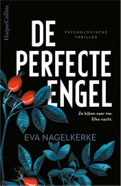 Omslag van De perfecte engel