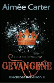 Omslag van Gevangene
