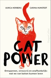 Omslag van Cat Power