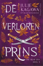 Omslag van De verloren prins