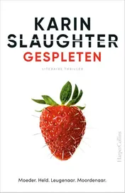 Omslag van Gespleten