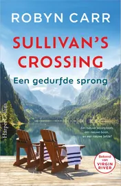 Omslag van Een gedurfde sprong