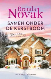 Omslag van Samen onder de kerstboom