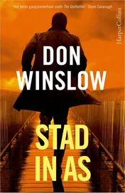 Omslag van Stad in as