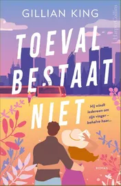 Omslag van Toeval bestaat niet