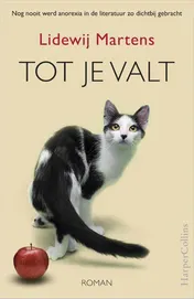Omslag van Tot je valt