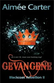 Omslag van Gevangene