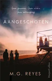 Omslag van Aangeschoten