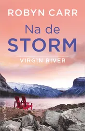 Omslag van Na de storm