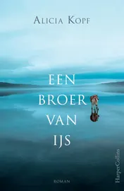 Omslag van Een broer van ijs