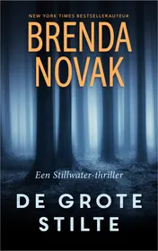 Omslag van De grote stilte