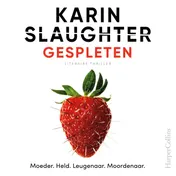 Omslag van Gespleten
