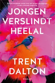 Omslag van Jongen verslindt heelal