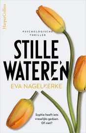 Omslag van Stille wateren