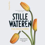 Omslag van Stille wateren