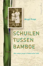 Omslag van Schuilen tussen bamboe