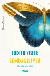 Omslag van Zondagsleven