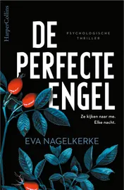 Omslag van De perfecte engel