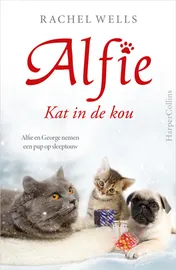 Omslag van Kat in de kou